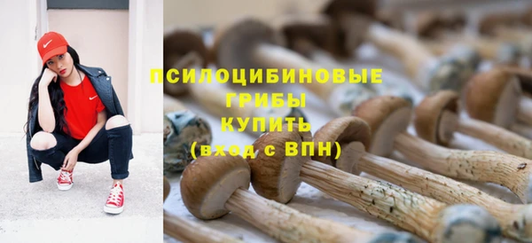 каннабис Гусев