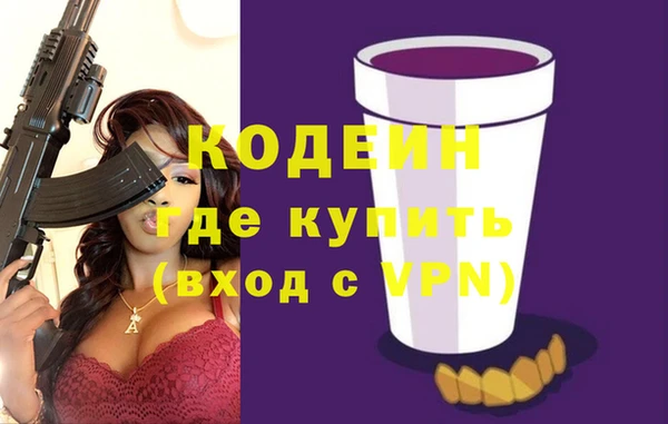 индика Беслан