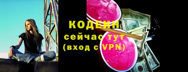 индика Беслан