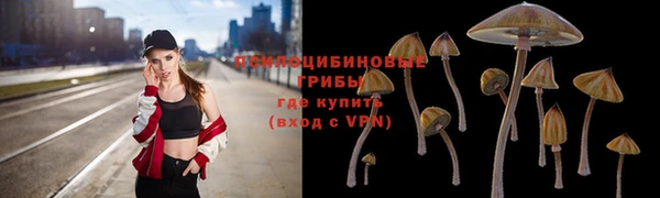 jwh Гусь-Хрустальный