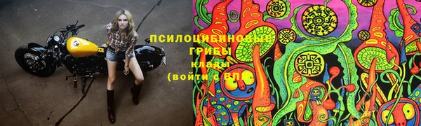 каннабис Гусев
