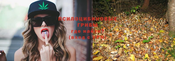 каннабис Гусев