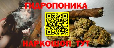 скорость Бийск