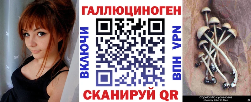 Галлюциногенные грибы Magic Shrooms  Елизово 